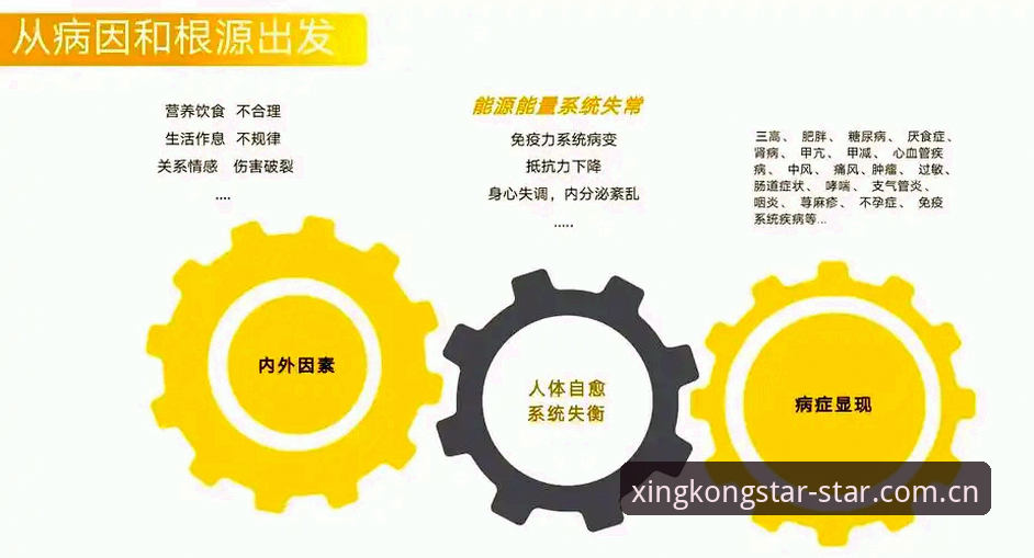 星空平台直接装路径深度分析：从旧版兼容到v2.8更新修复的避坑指南